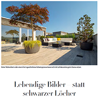 lebendige-bilder---statt-schwarze-loecher-silvedes-ag.png