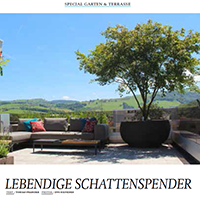 lebendige-schattenspender-silvedes-ag.png