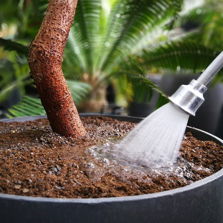 Unterhalt von Pflanzen